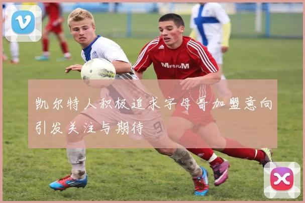 凯尔特人积极追求字母哥加盟意向引发关注与期待